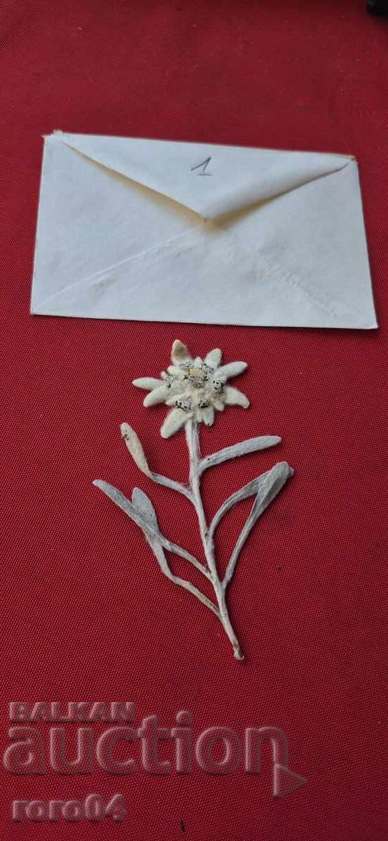 ΕΝΤΕΛΒΑΪΣ - 1 ΕΝΤΕΛΒΑΪΣ - 1