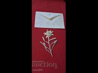 ΕΝΤΕΛΒΑΪΣ - 1