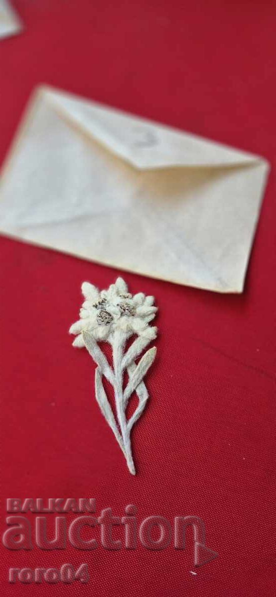 ЕДЕЛВАЙС - 3 с цена 9.99 лв. | € 5.11 ЕДЕЛВАЙС - 3 с цена 9.99 лв. | € 5.11