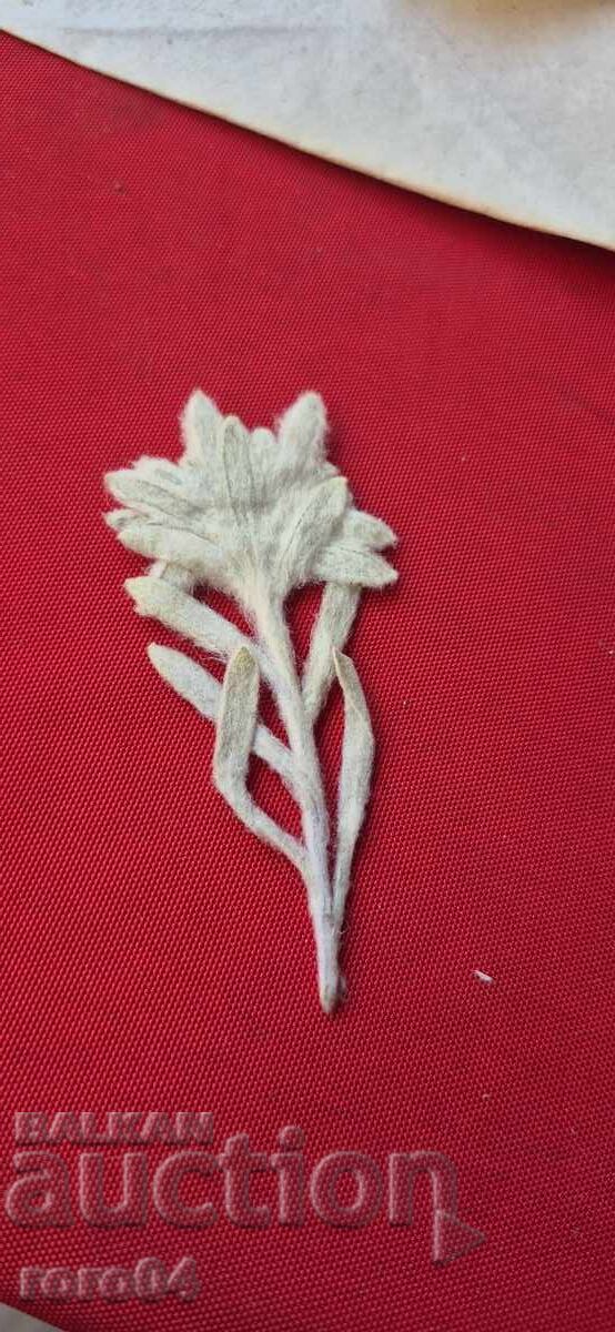 Аукцион ЕДЕЛВАЙС - 3 Аукцион ЕДЕЛВАЙС - 3