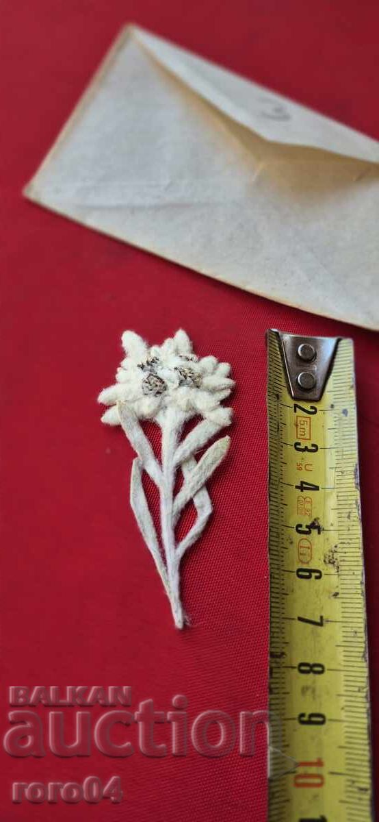 Доставка на ЕДЕЛВАЙС - 3 Доставка на ЕДЕЛВАЙС - 3