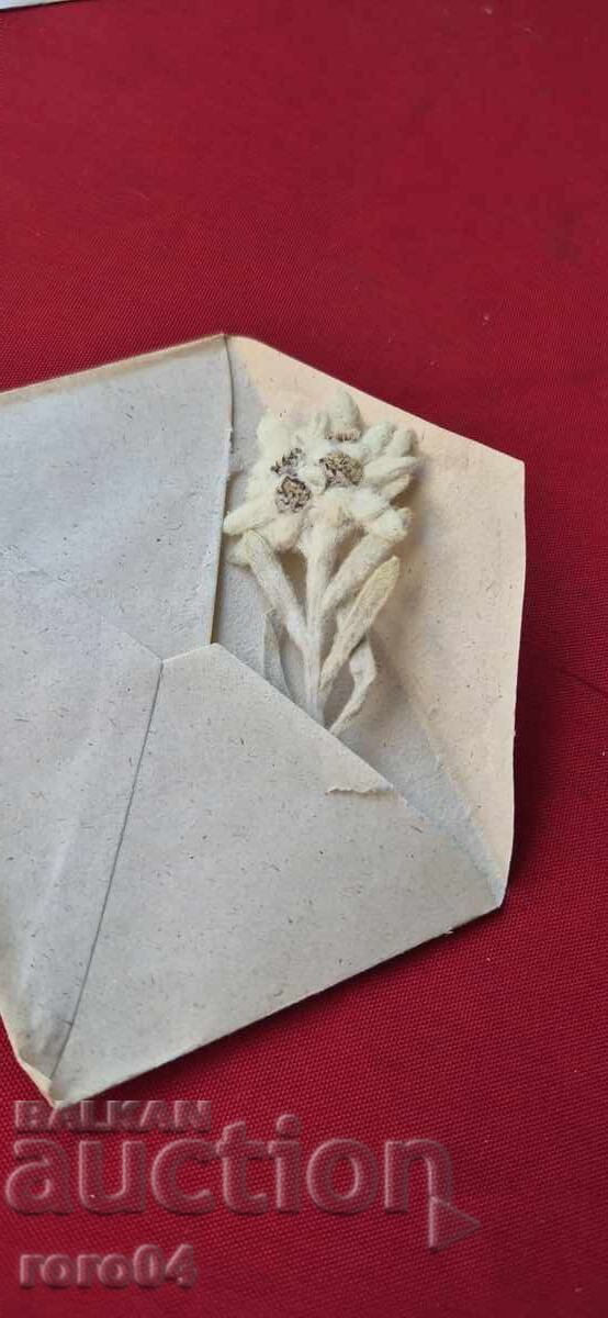 ЕДЕЛВАЙС - 3 - 5 ЕДЕЛВАЙС - 3 - 5