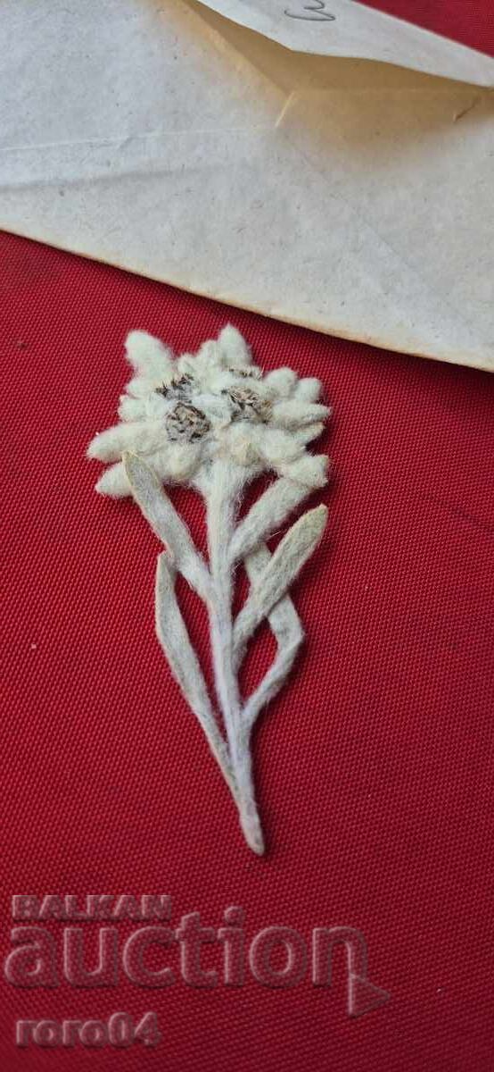 ЕДЕЛВАЙС - 3 ЕДЕЛВАЙС - 3