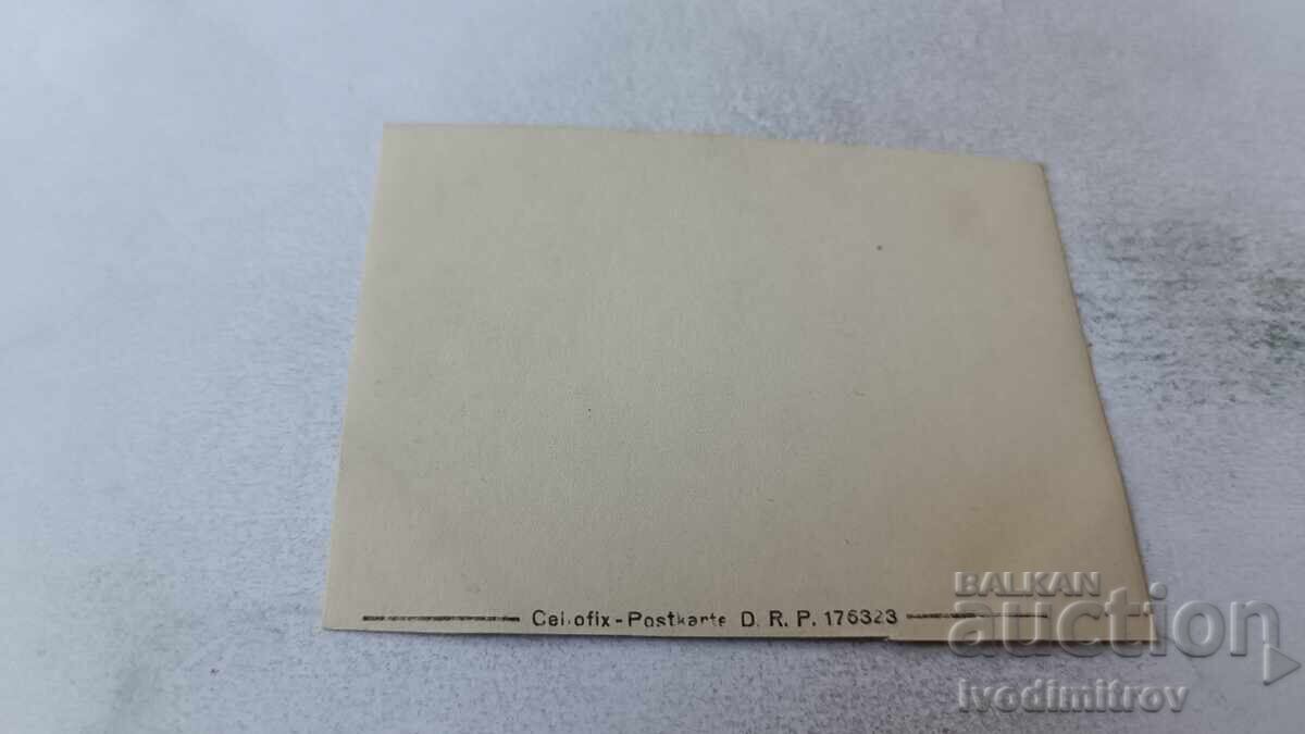 Photo of an Officer in the yard of a village house with price 2.65 BGN | € 1.35