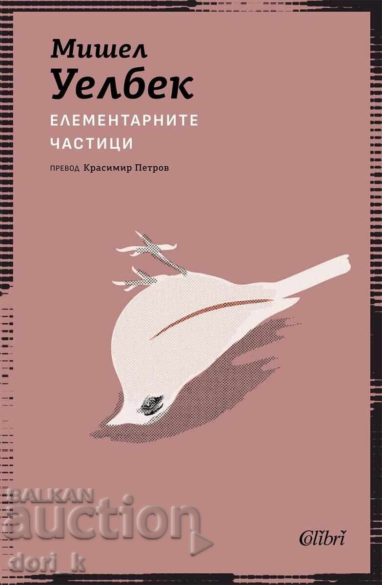 Τα στοιχειώδη σωματίδια Τα στοιχειώδη σωματίδια