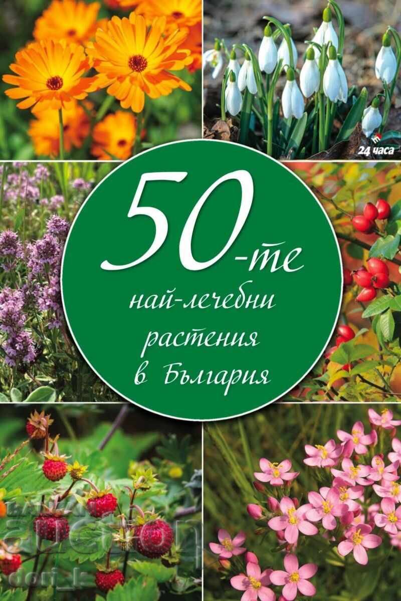 The 50 Most Healing Plants in Bulgaria