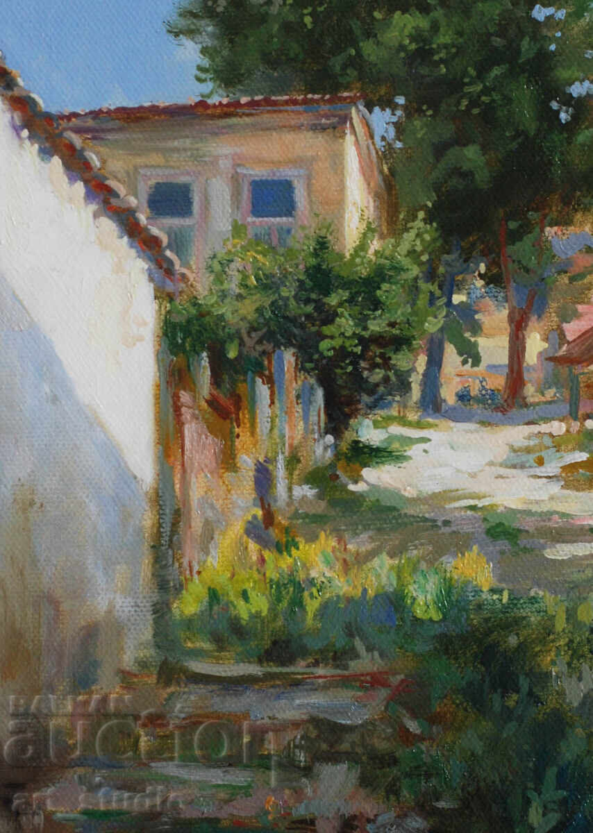 Licitație Strada Tarnovska - vopsele în ulei