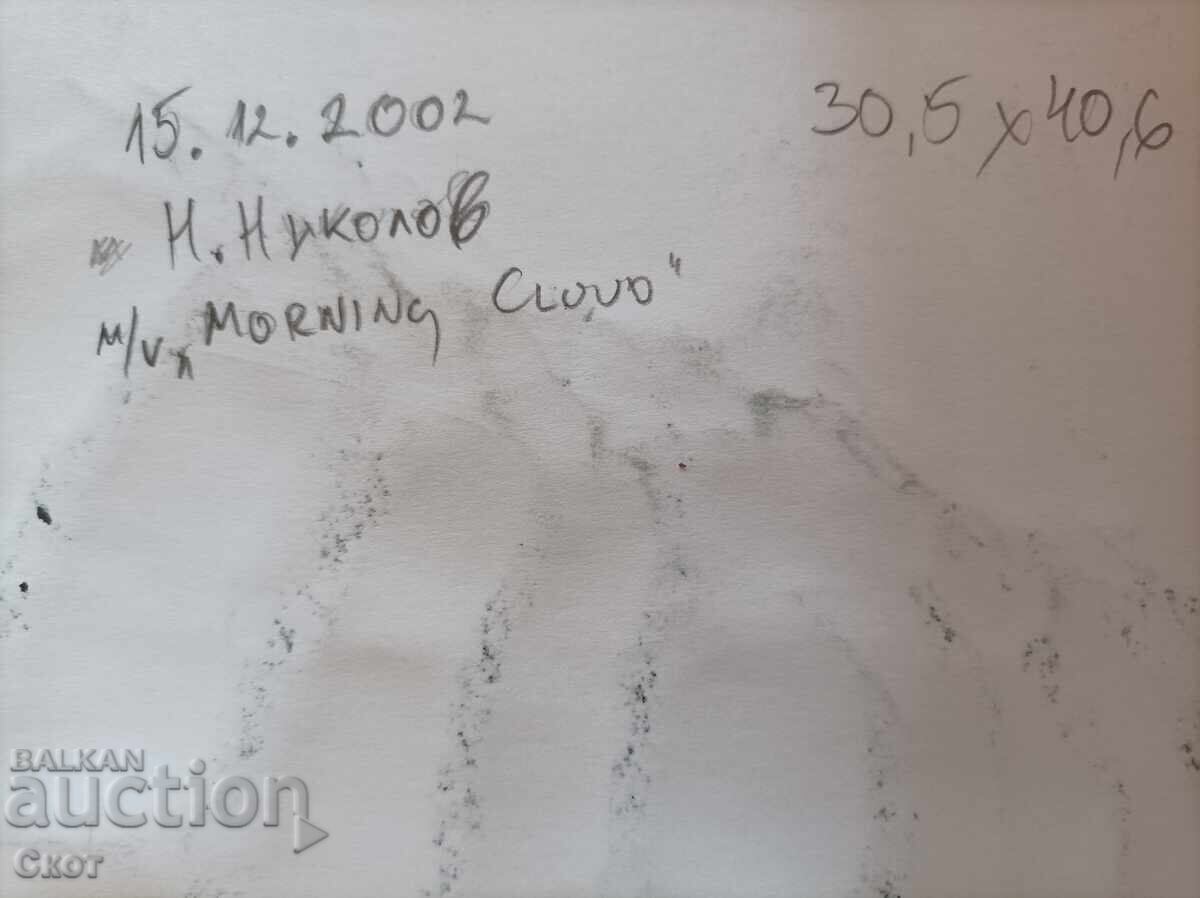 Desen cu cerneală cu preț 40.00 BGN | € 20.45