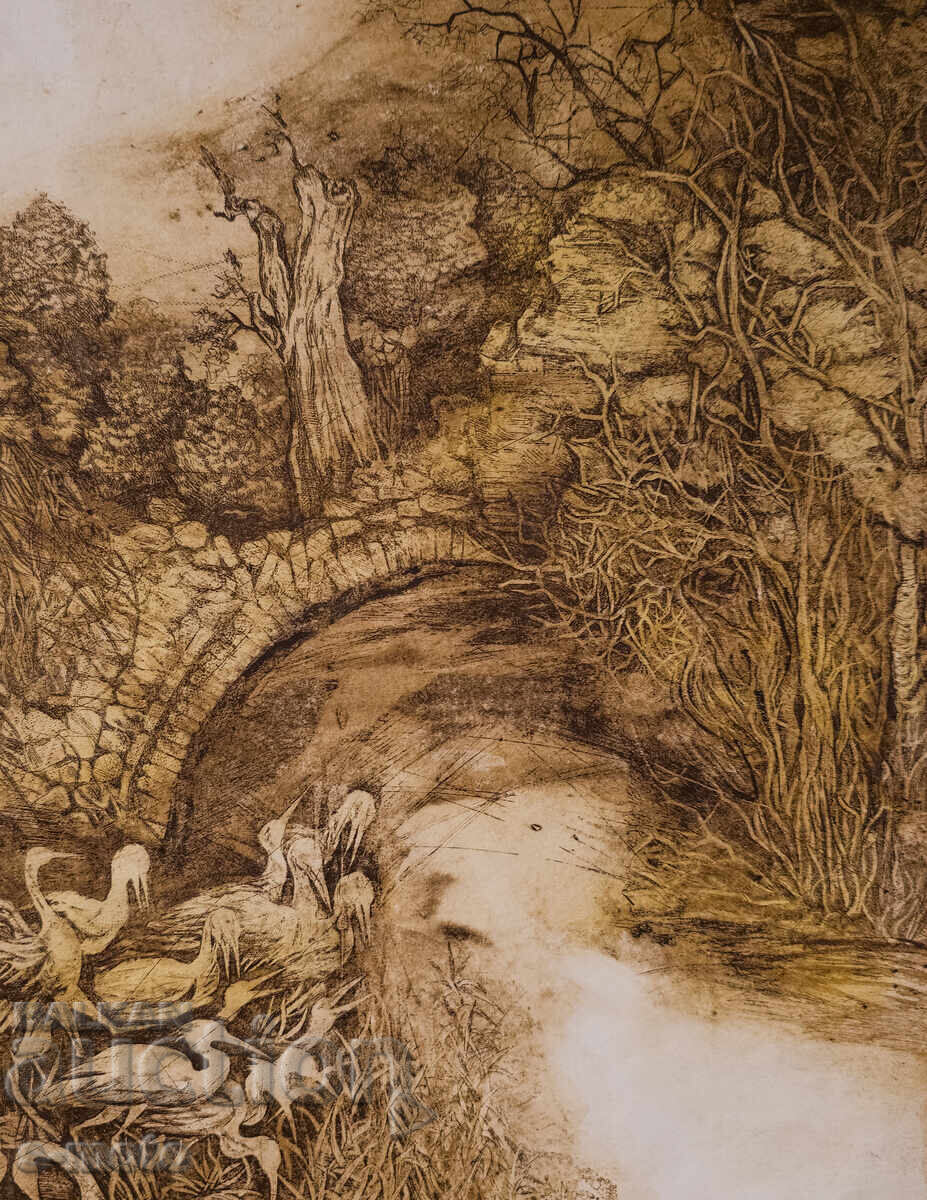 Γραφικά, χαρακτικό "Ρezervat" υπογεγραμμένο - 6 Γραφικά, χαρακτικό "Ρezervat" υπογεγραμμένο - 6