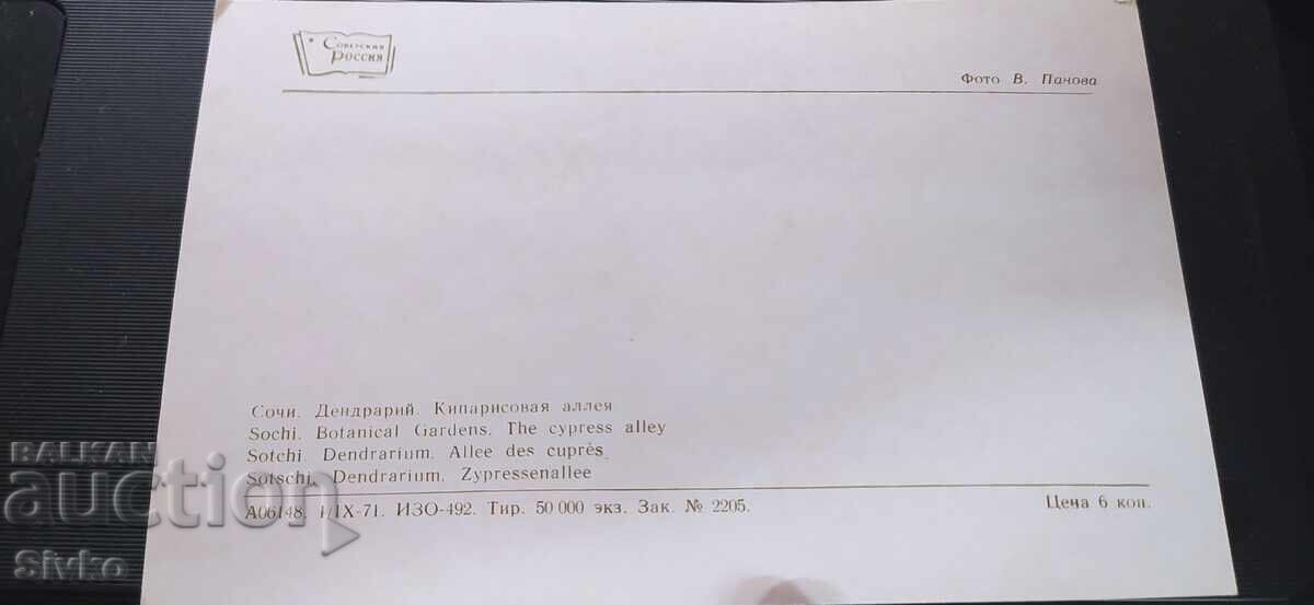 Sochi Cypress Postcard with price 0.49 BGN | € 0.25