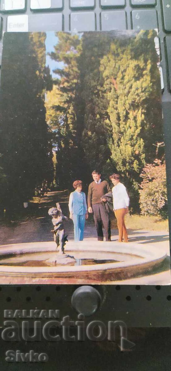 Sochi Cypress Postcard