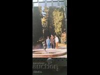 Sochi Cypress Postcard