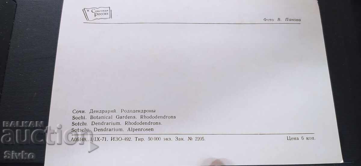 Sochi Rosarium Card with price 0.49 BGN | € 0.25