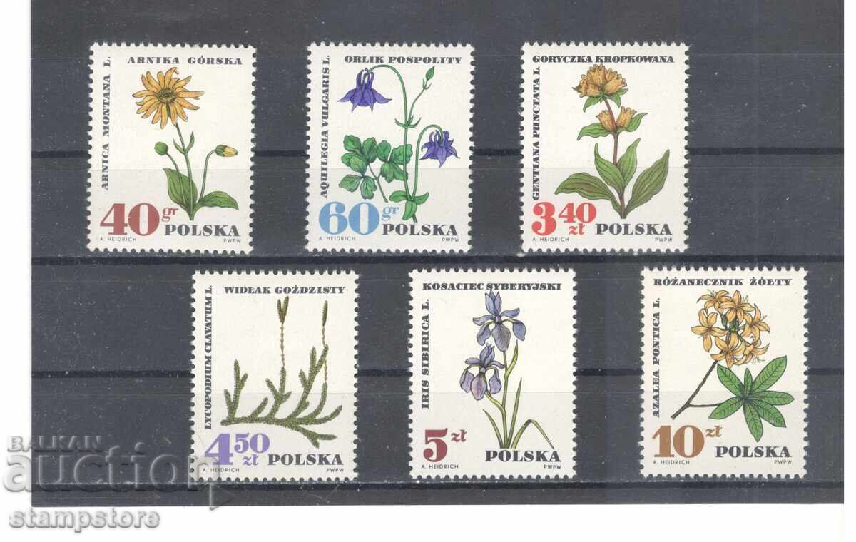 Poland - Protected Plants