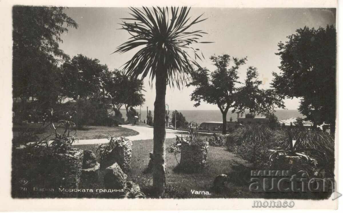 Ταχυδρομική κάρτα - Βάρνα, Θαλάσσιος Κήπος