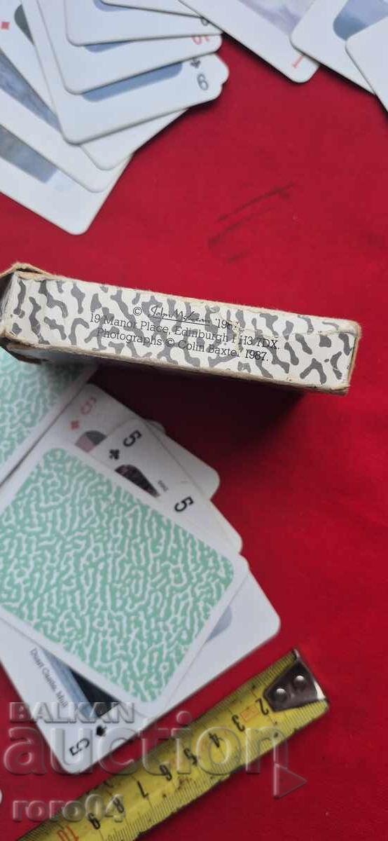 ΧΑΡΤΙΑ ΓΙΑ ΠΑΙΧΝΙΔΙ - ΑΡΙΣΤΑ - 7