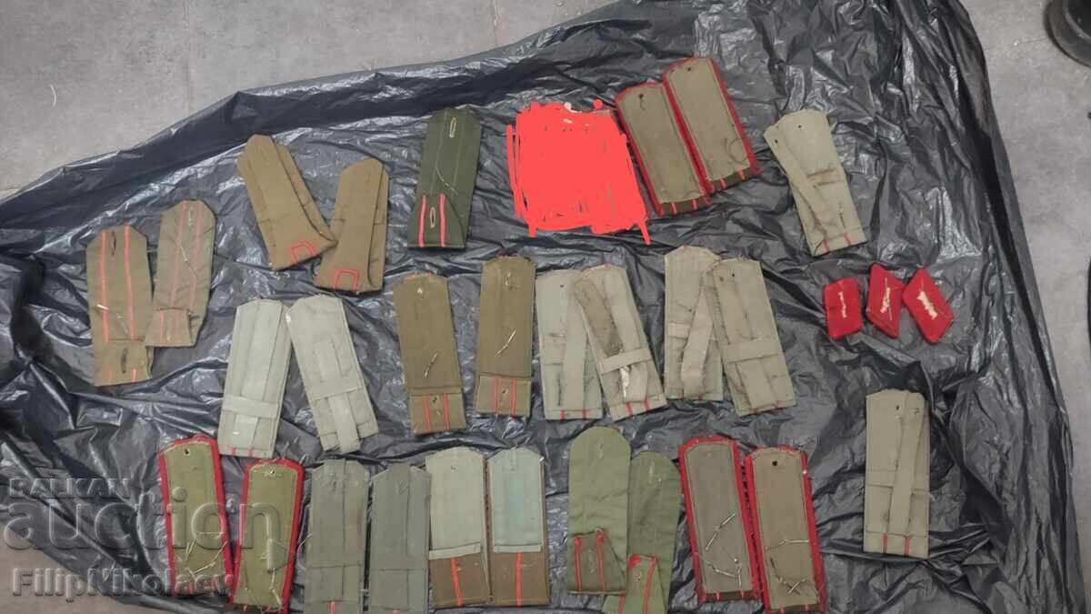 Λοτ παγώνι κοινων με τιμή 35.00 BGN | € 17.90