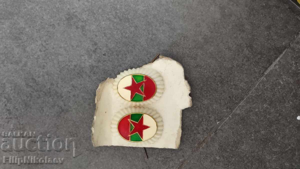 Δημοπρασία Λοτ παγώνι κοινων