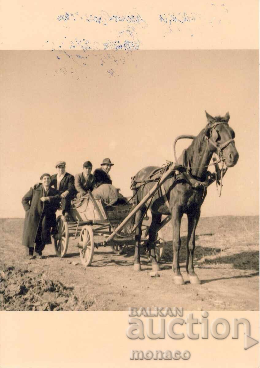 Παλιά φωτογραφία - Yambolŭ, Στο κάρο