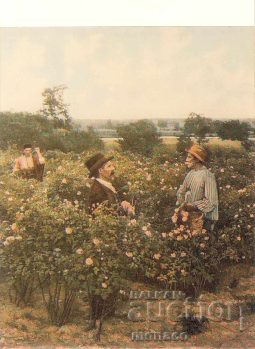 Стара картичка - нова фотография - Казанлъкъ, Розоберъ Стара картичка - нова фотография - Казанлъкъ, Розоберъ