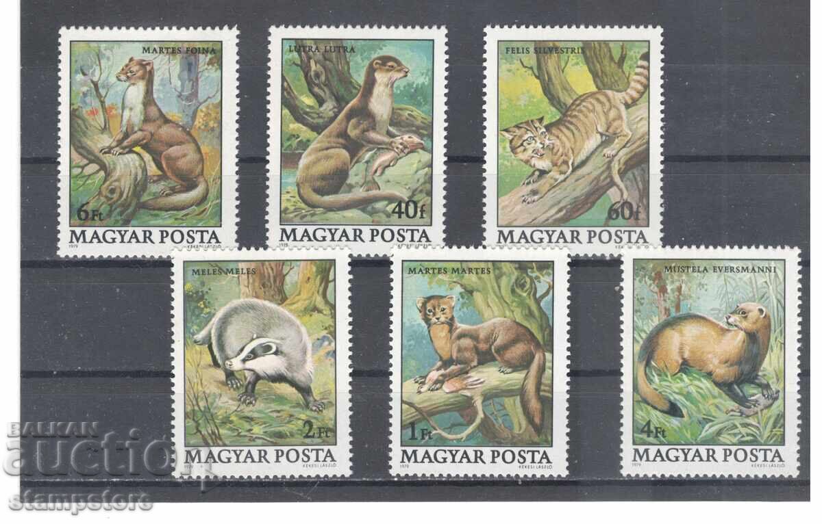 Hungary - Forest Animals