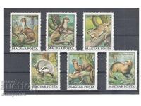 Hungary - Forest Animals