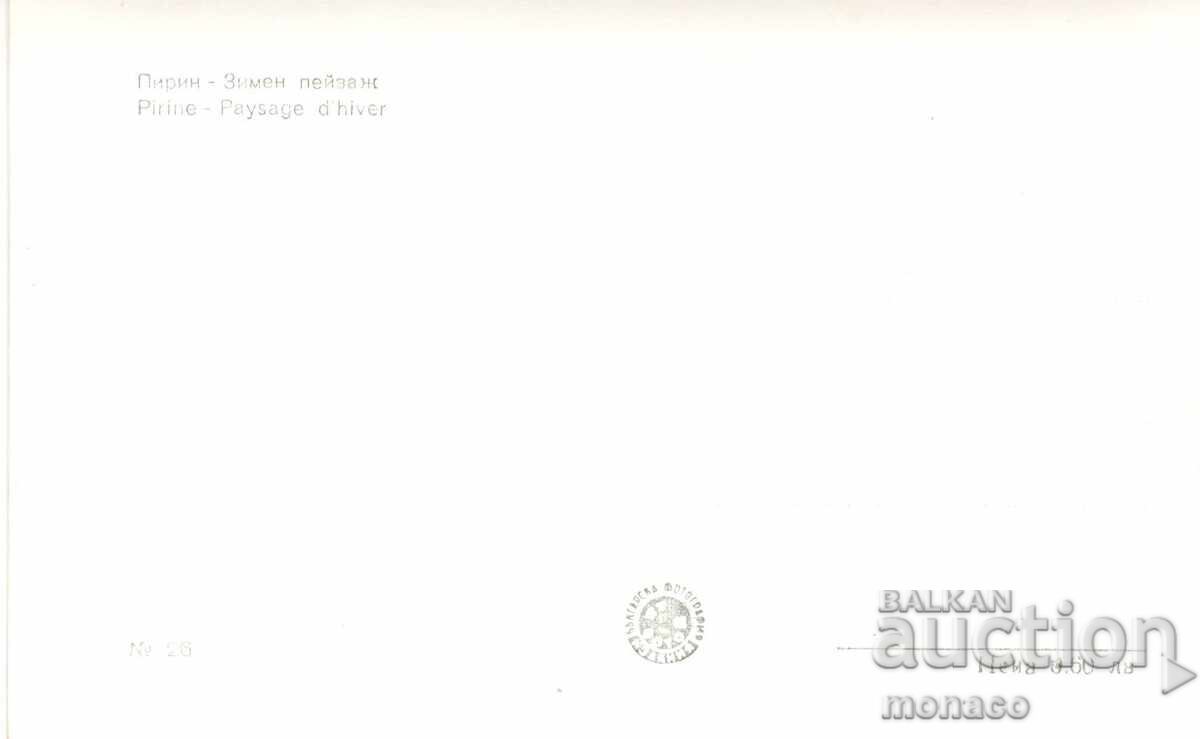 Стара картичка - Пирин, Зимен пейзаж с цена 2.60 лв. | € 1.33 Стара картичка - Пирин, Зимен пейзаж с цена 2.60 лв. | € 1.33