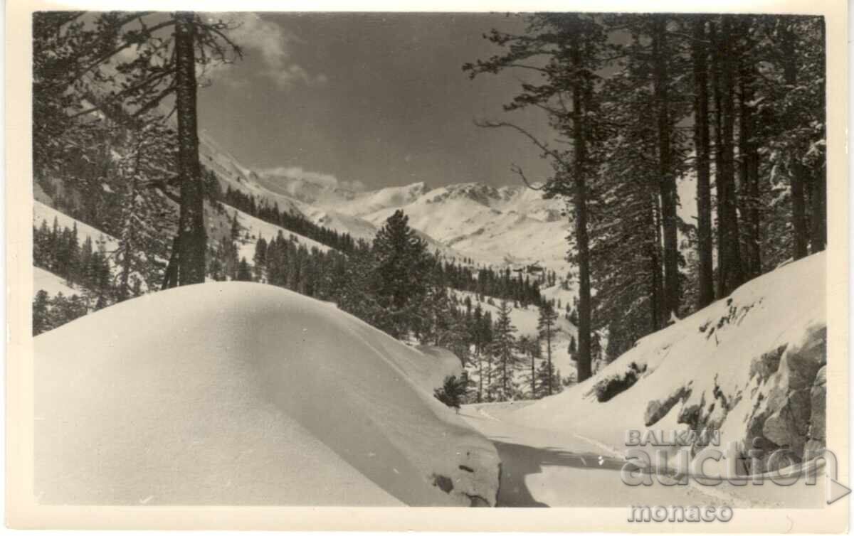 Стара картичка - Пирин, Зимен пейзаж Стара картичка - Пирин, Зимен пейзаж
