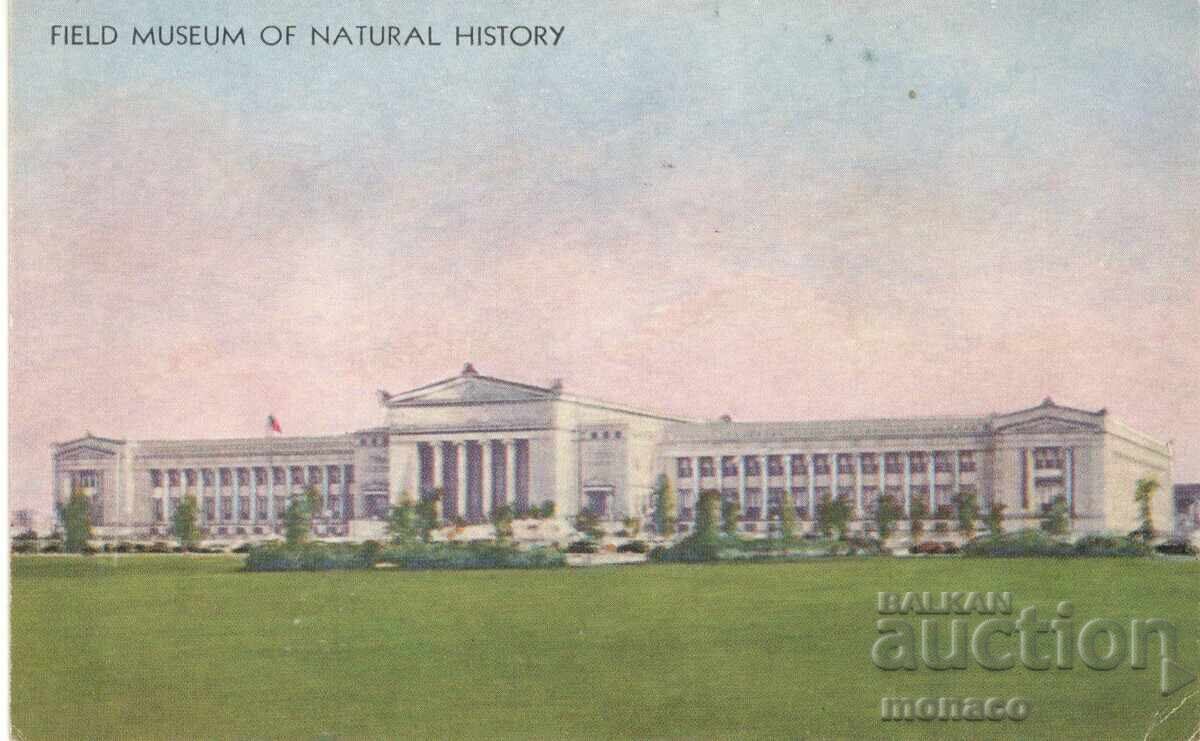 Old postcard - Chicago, Field Museum of Natural History