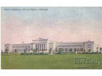 Carte poștală veche - Chicago, Muzeul de Istorie Naturală