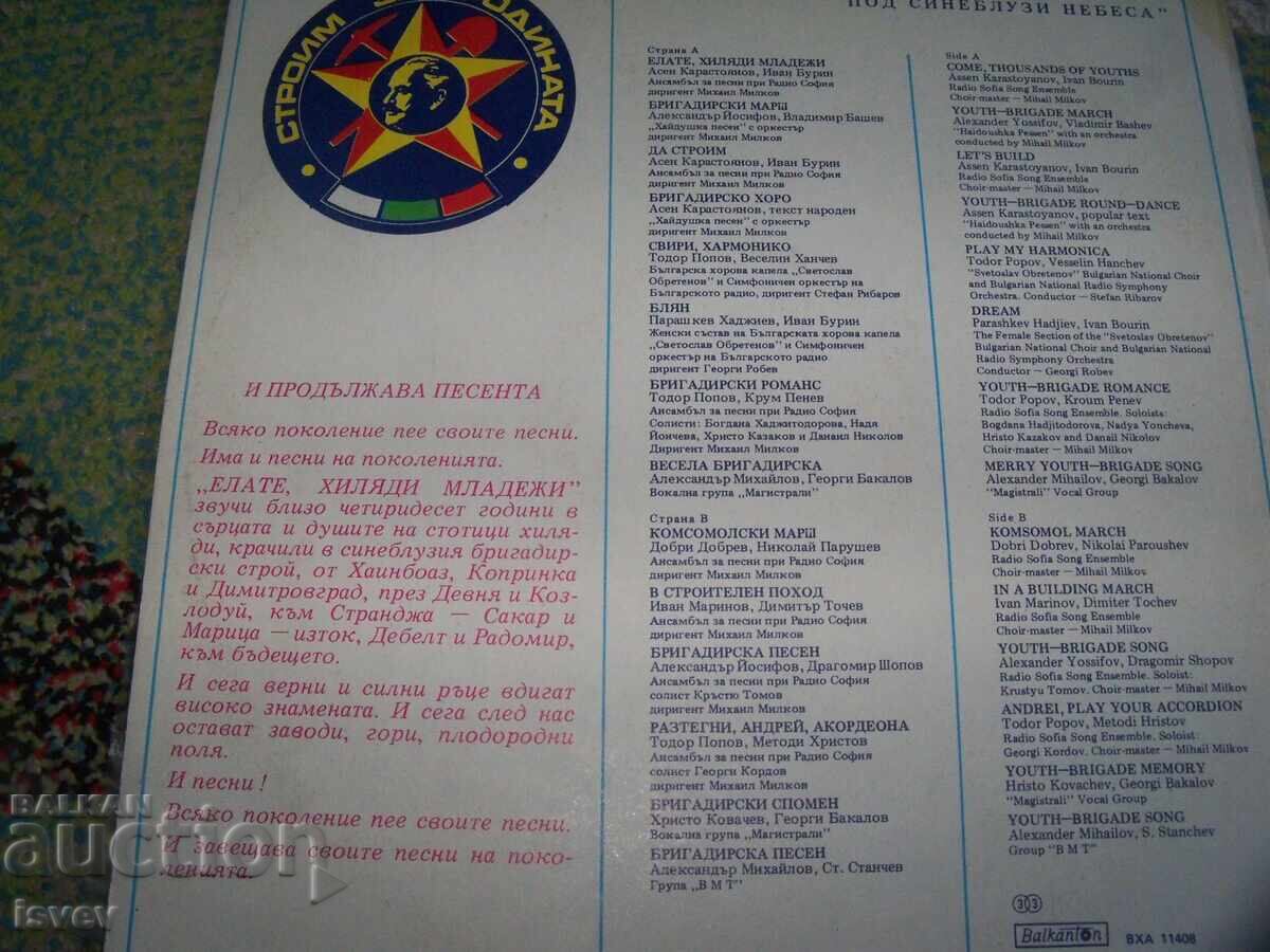 Auction  Brigadier's Summer, VHA 11408, 1984