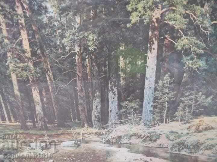 "ΜΙΑ ΜΑΤΙΑ ΣΤΟ ΒΟΥΝΟ" με τιμή 30.00 BGN | € 15.34 "ΜΙΑ ΜΑΤΙΑ ΣΤΟ ΒΟΥΝΟ" με τιμή 30.00 BGN | € 15.34