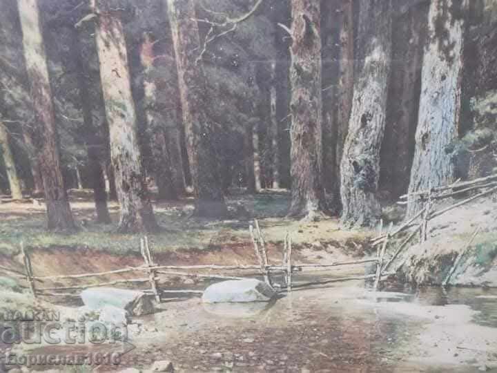 Δημοπρασία "ΜΙΑ ΜΑΤΙΑ ΣΤΟ ΒΟΥΝΟ" Δημοπρασία "ΜΙΑ ΜΑΤΙΑ ΣΤΟ ΒΟΥΝΟ"