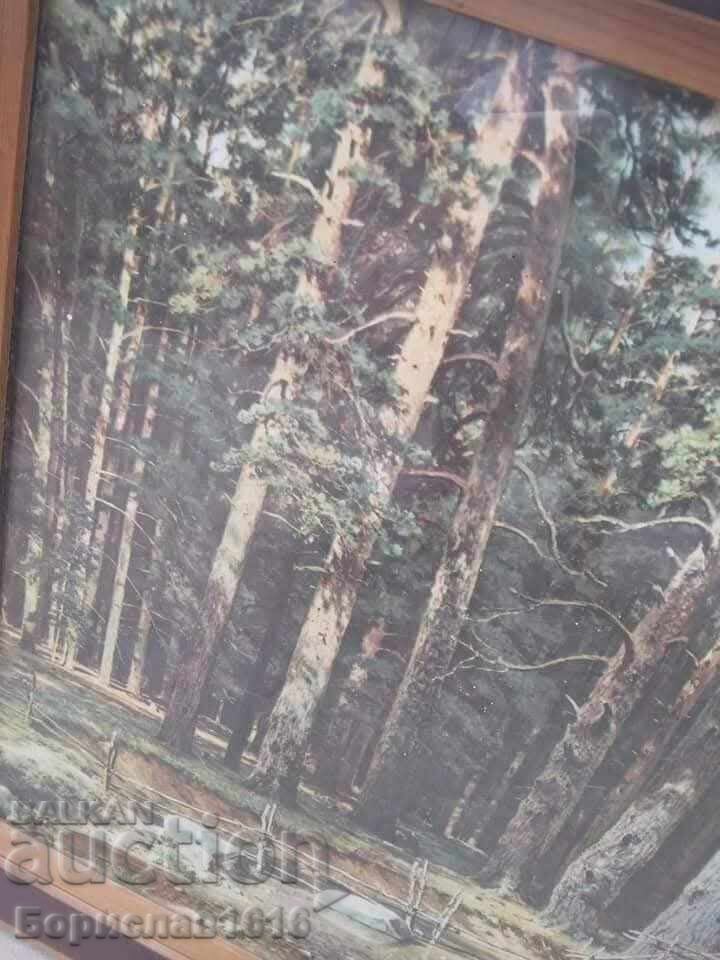 Παράδοση "ΜΙΑ ΜΑΤΙΑ ΣΤΟ ΒΟΥΝΟ" Παράδοση "ΜΙΑ ΜΑΤΙΑ ΣΤΟ ΒΟΥΝΟ"