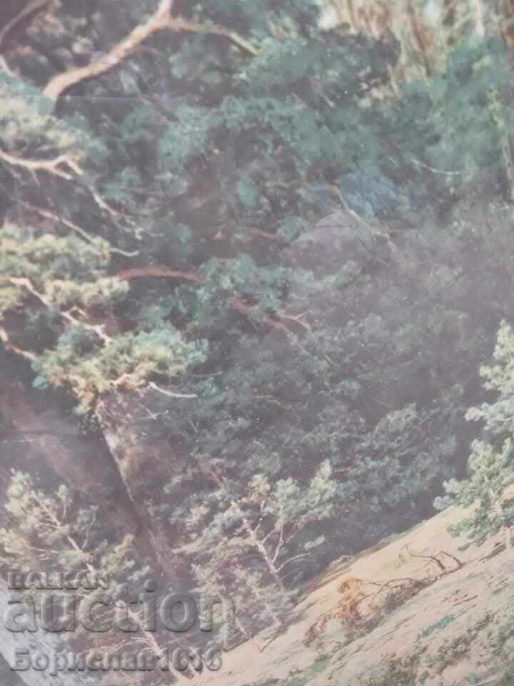 "ΜΙΑ ΜΑΤΙΑ ΣΤΟ ΒΟΥΝΟ" - 5 "ΜΙΑ ΜΑΤΙΑ ΣΤΟ ΒΟΥΝΟ" - 5