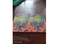 Землемория 2