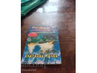 Критична точка