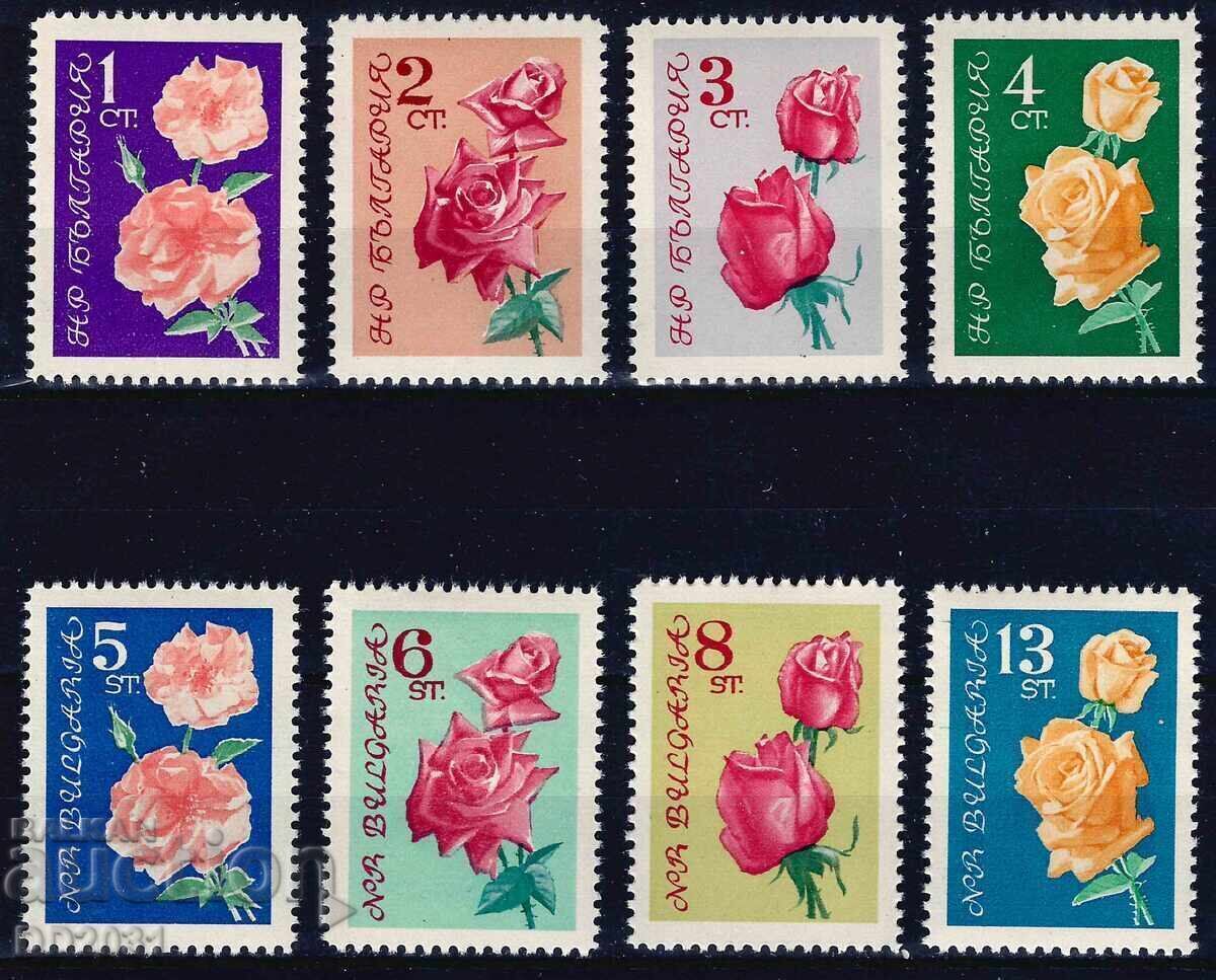 Bulgaria 1962 - trandafiri MNH