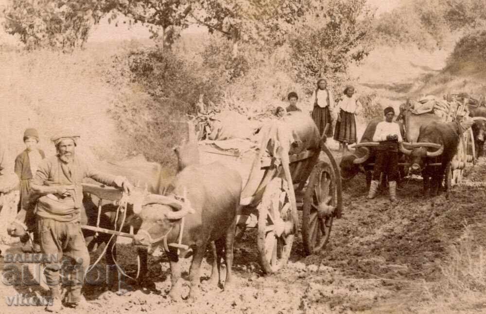 Παράδοση Ρούσε (Ρουσε) Ρουστσούκ 19ος αιώνας 4 αυθεντικές φωτογραφίες από άλμπουμ