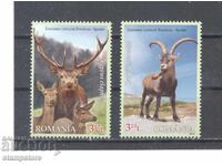 Romania - Forest Animals