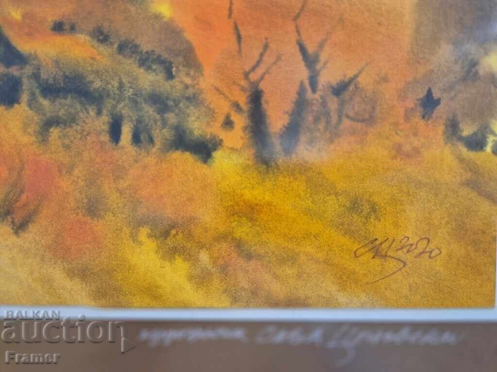 Livrarea Acuarelă de la marele artist bulgar Sava Țonovschi 5D