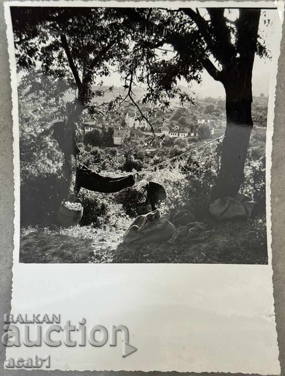 Ροζόμπεραčka Καζανλάκ με τιμή 19.99 BGN | € 10.22 Ροζόμπεραčka Καζανλάκ με τιμή 19.99 BGN | € 10.22