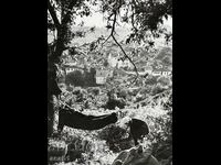 Ροζόμπεραčka Καζανλάκ