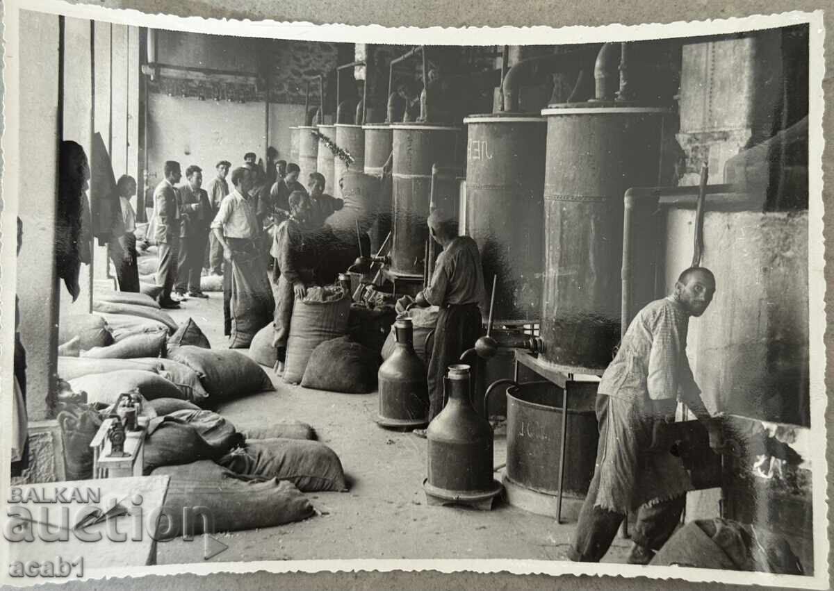 Ροζόβαρνα Καζανλάκ