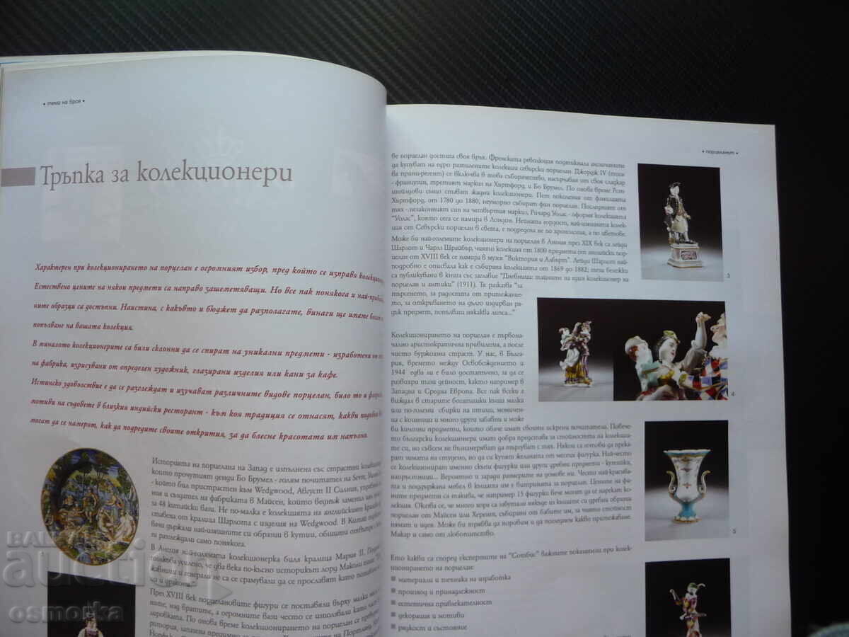 Delivery of Bacchus porcelain Titi Papazov Navara Bulgarian wine restaurant