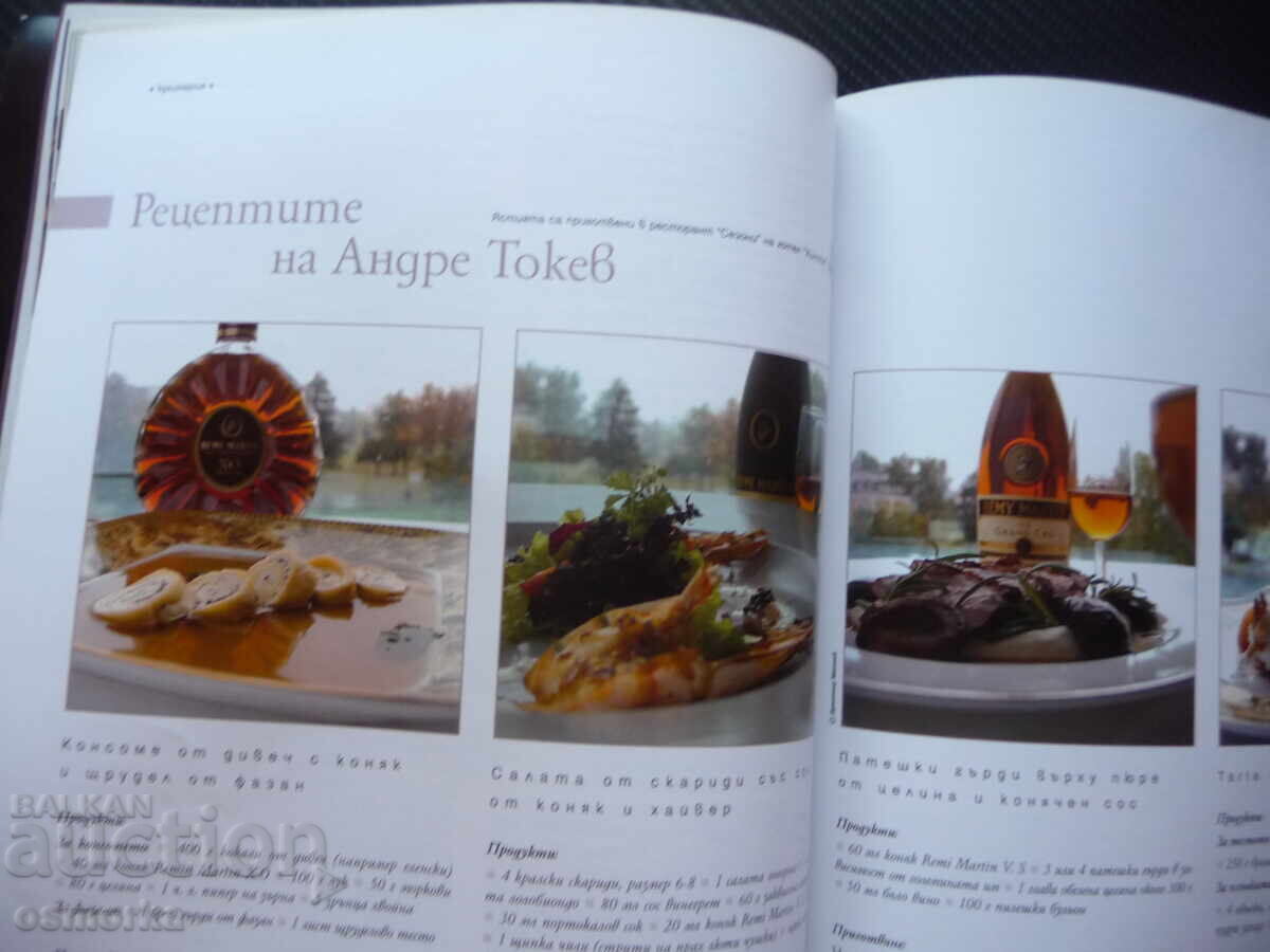 Bacchus porcelain Titi Papazov Navara Bulgarian wine restaurant - 6