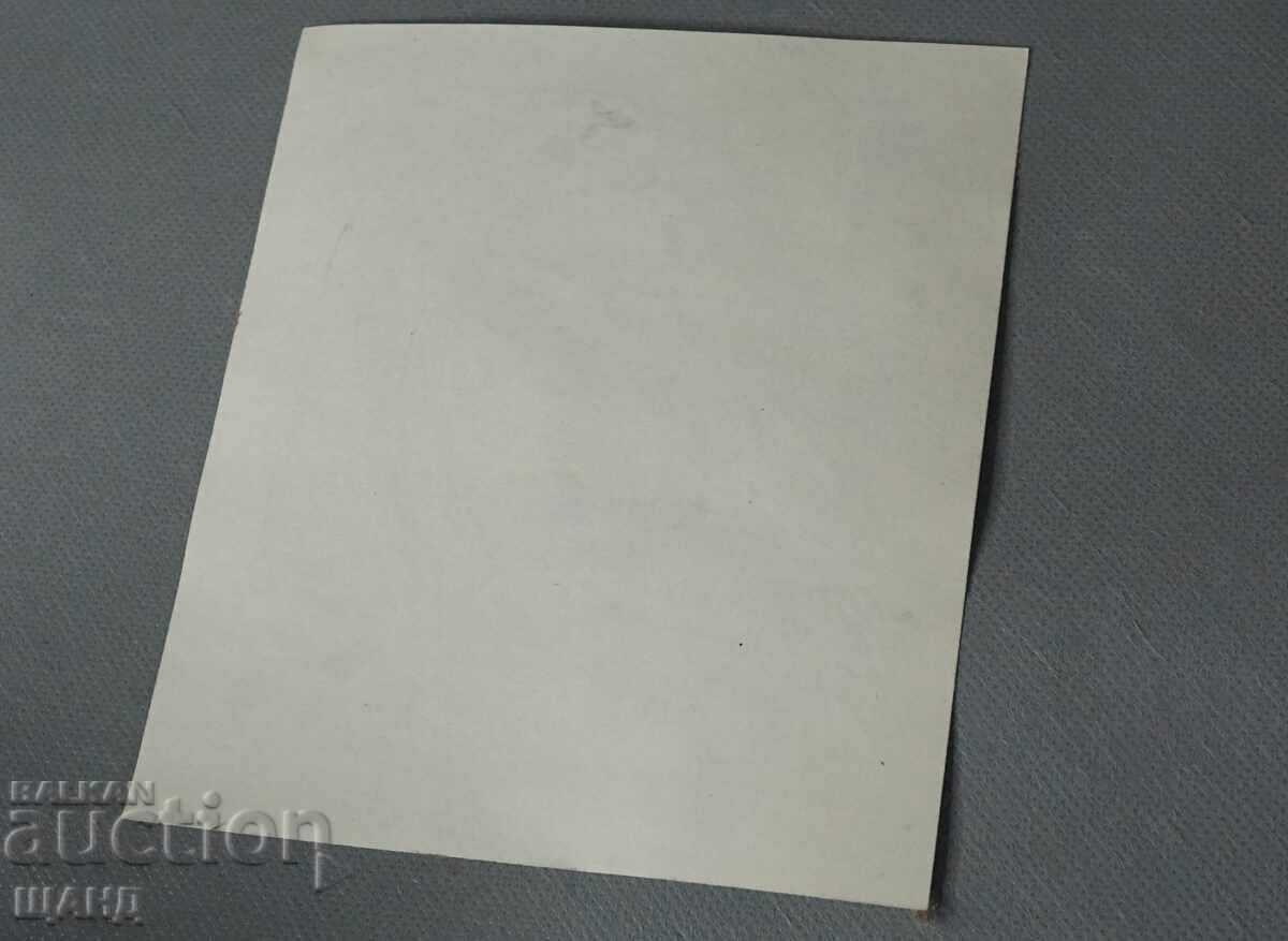 Desen vechi de maestru, tuș, portret chip feminin cu preț 3.25 BGN | € 1.66