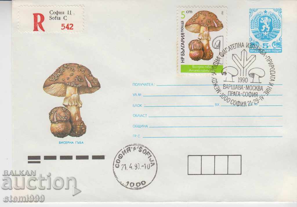 Ταχυδρομικός Φάκελος Μανιτάρια Ταχυδρομικός Φάκελος Μανιτάρια