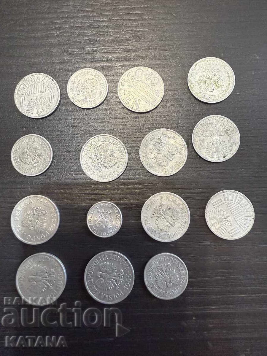 Lot de 15 bucăți (gros) cu preț 20.00 BGN | € 10.23