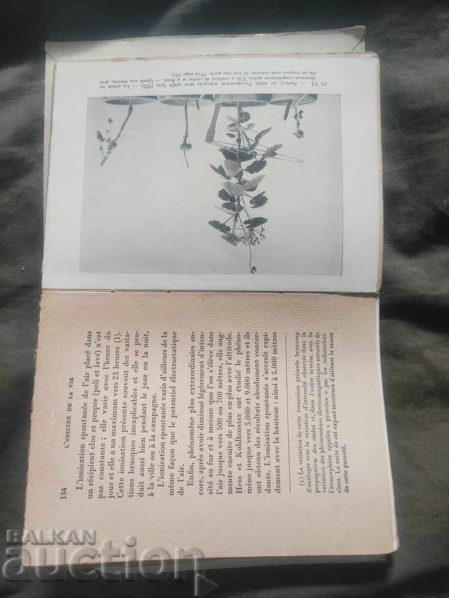 Auction  Assen Zlatarov: The Origin of Life, Radiation and Beings